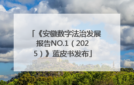 《安徽数字法治发展报告NO.1（2025）》蓝皮书发布