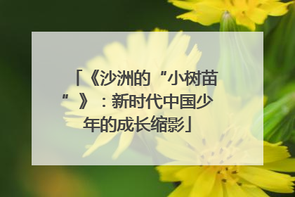 《沙洲的“小树苗”》：新时代中国少年的成长缩影