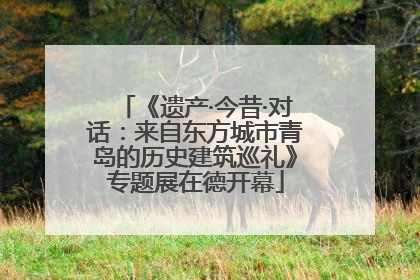 《遗产·今昔·对话：来自东方城市青岛的历史建筑巡礼》专题展在德开幕