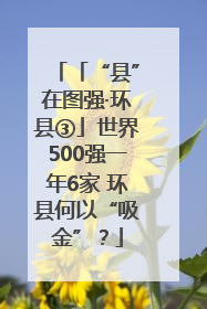 「“县”在图强·环县③」世界500强一年6家 环县何以“吸金”？