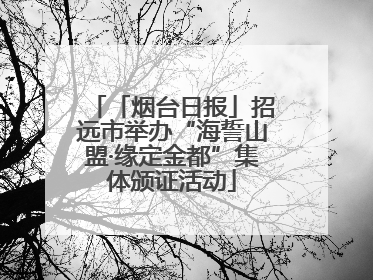 「烟台日报」招远市举办“海誓山盟·缘定金都”集体颁证活动