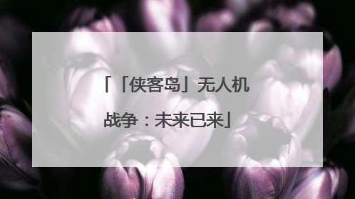 「侠客岛」无人机战争：未来已来