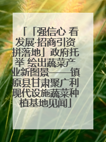 「强信心 看发展·招商引资拼落地」政府托举 绘出蔬菜产业新图景——镇原县甘肃聚广利现代设施蔬菜种植基地见闻