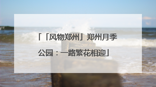 「风物郑州」郑州月季公园：一路繁花相迎
