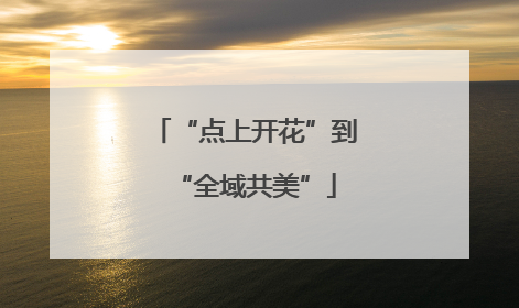 “点上开花”到“全域共美”