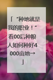 “种地就是我的职业！”看00后种粮人如何种好4000亩地→