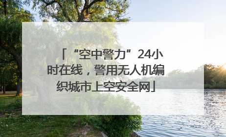 “空中警力”24小时在线，警用无人机编织城市上空安全网
