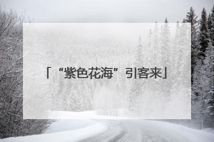 “紫色花海”引客来