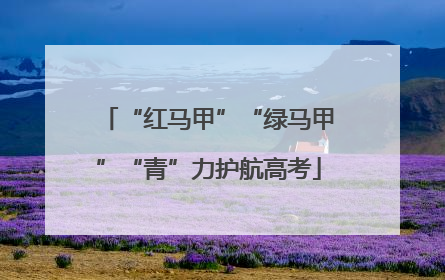 “红马甲”“绿马甲”“青”力护航高考