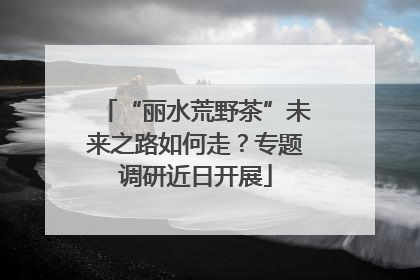 “丽水荒野茶”未来之路如何走？专题调研近日开展