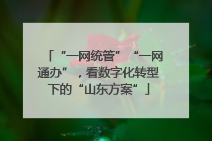 “一网统管”“一网通办”，看数字化转型下的“山东方案”