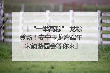 “一举高粽” 龙粽登场！安宁玉龙湾端午宋韵游园会等你来