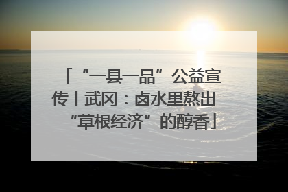 “一县一品”公益宣传丨武冈：卤水里熬出“草根经济”的醇香