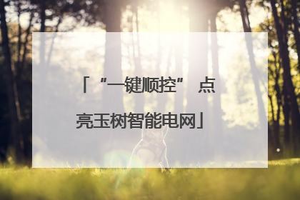 “一键顺控” 点亮玉树智能电网