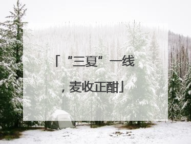 “三夏”一线，麦收正酣