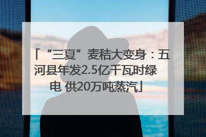 “三夏”麦秸大变身：五河县年发2.5亿千瓦时绿电 供20万吨蒸汽
