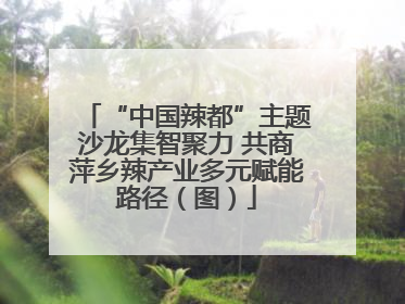 “中国辣都”主题沙龙集智聚力 共商萍乡辣产业多元赋能路径（图）