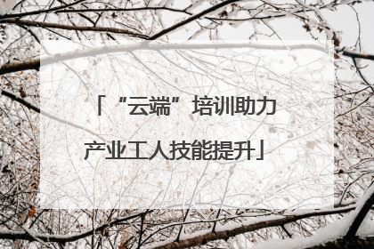 “云端”培训助力产业工人技能提升