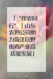“伴农同行”｜山东农担公司助力菏泽巨野蛋鸡产业高质量发展