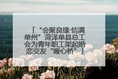 “会聚良缘·情满单州”菏泽单县总工会为青年职工架起婚恋交友“暖心桥”
