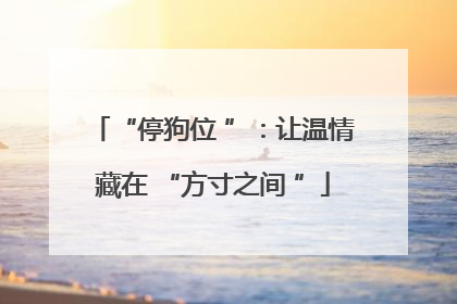 “停狗位 ”：让温情藏在 “方寸之间 ”