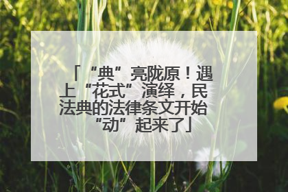 “典”亮陇原！遇上“花式”演绎，民法典的法律条文开始“动”起来了