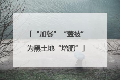 “加餐”“盖被” 为黑土地“增肥”