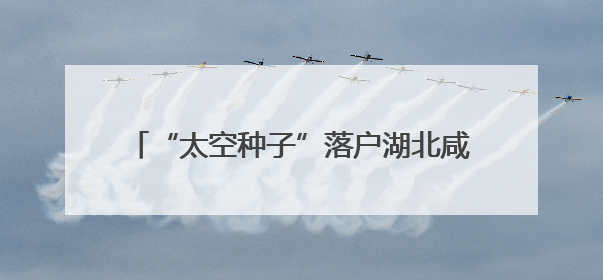 “太空种子”落户湖北咸安 开启太空农业新篇章