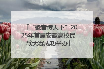 “徽音传天下”2025年首届安徽高校民歌大赛成功举办