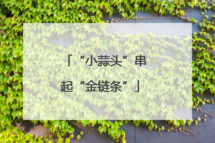 “小蒜头”串起“金链条”