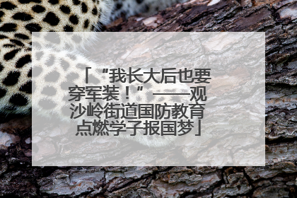“我长大后也要穿军装！”——观沙岭街道国防教育点燃学子报国梦