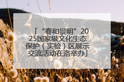 “春和景明”2025国家级文化生态保护（实验）区展示交流活动在洛举办