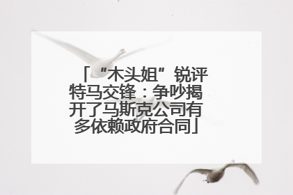 “木头姐”锐评特马交锋：争吵揭开了马斯克公司有多依赖政府合同