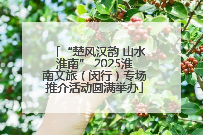 “楚风汉韵 山水淮南” 2025淮南文旅（闵行）专场推介活动圆满举办