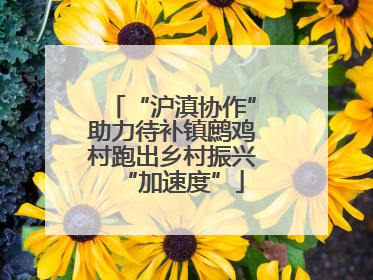 “沪滇协作”助力待补镇鹧鸡村跑出乡村振兴“加速度”