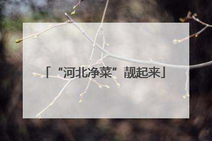 “河北净菜”靓起来