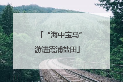 “海中宝马”游进霞浦盐田