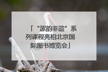 “漯韵非遗”系列课程亮相北京国际图书博览会