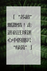 “苏超”燃激情！走进宿迁球迷心中的那片“绿茵”
