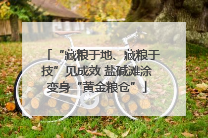“藏粮于地、藏粮于技”见成效 盐碱滩涂变身“黄金粮仓”