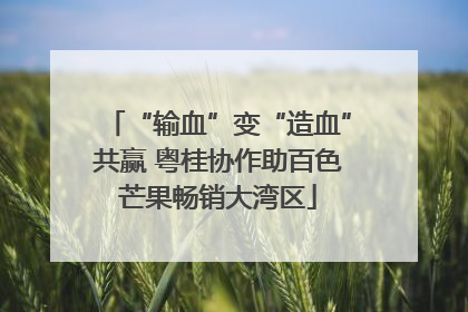 “输血”变“造血”共赢 粤桂协作助百色芒果畅销大湾区