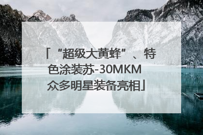 “超级大黄蜂”、特色涂装苏-30MKM 众多明星装备亮相