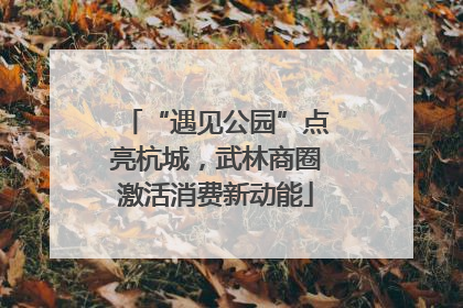 “遇见公园”点亮杭城，武林商圈激活消费新动能