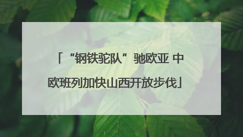 “钢铁驼队”驰欧亚 中欧班列加快山西开放步伐