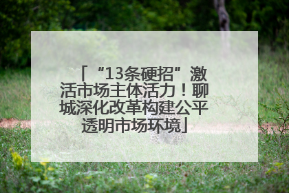 “13条硬招”激活市场主体活力！聊城深化改革构建公平透明市场环境