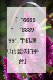 “6666”“888999”手机靓号再登法拍平台