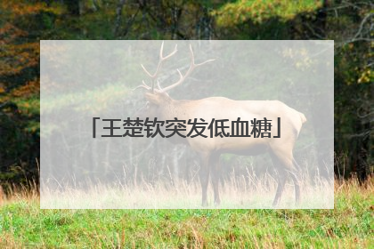 王楚钦突发低血糖