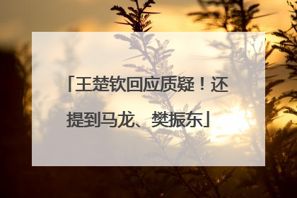 王楚钦回应质疑！还提到马龙、樊振东