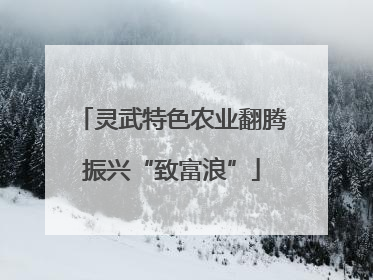 灵武特色农业翻腾振兴“致富浪”
