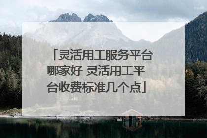 灵活用工服务平台哪家好 灵活用工平台收费标准几个点